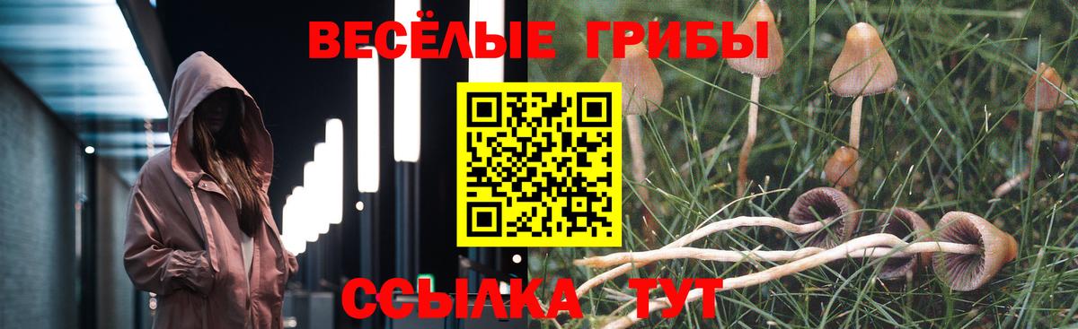 Балашиха  Псилоцибиновые грибы Psilocybine cubensis  Вход с VPN 